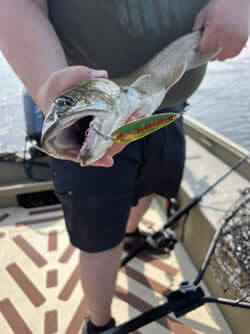 Man holding a Lake Trout he caught.